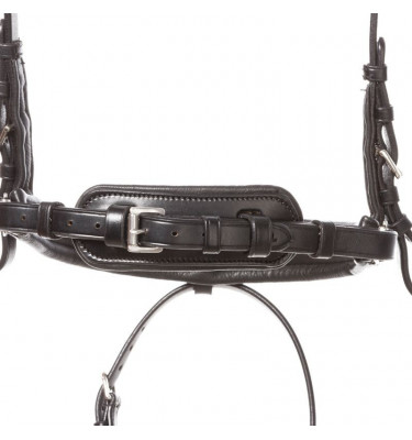 Ogłowie dla konia Ayana KavalSH4 cob