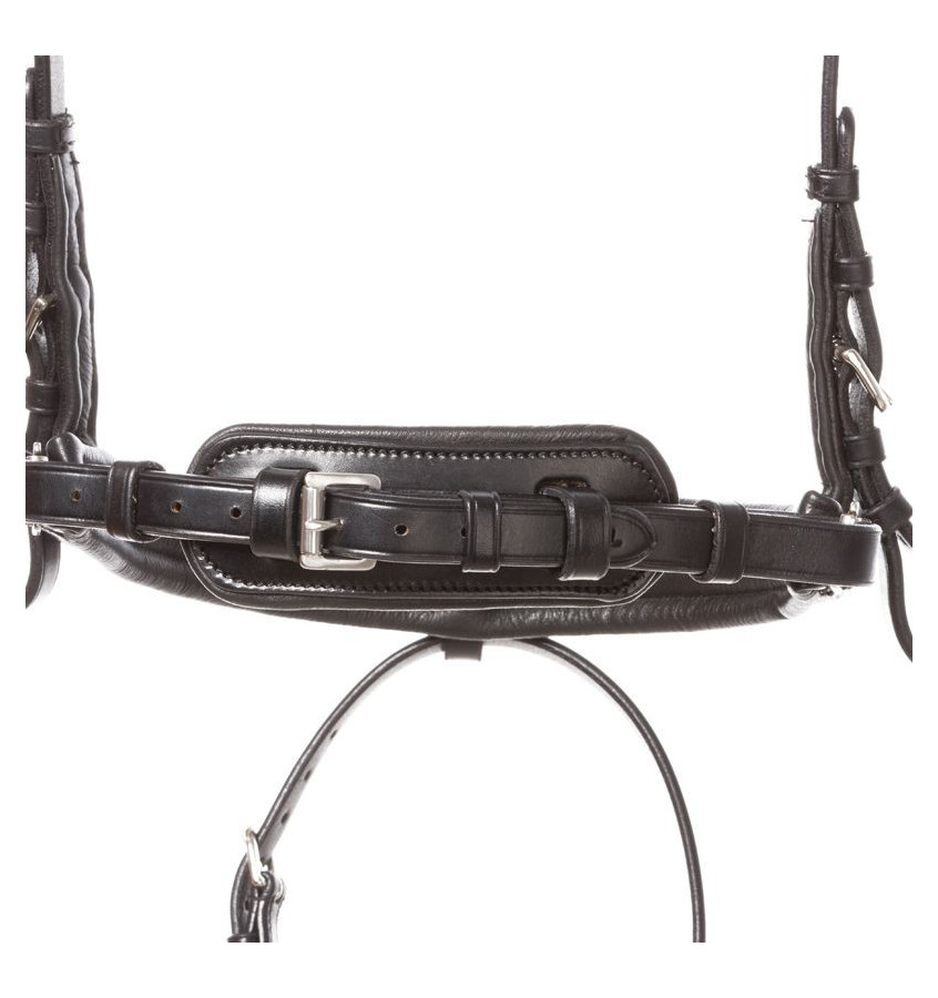 Ogłowie dla konia Ayana KavalSH4 cob