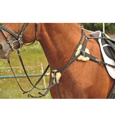 Napierśnik pięciopunktowy