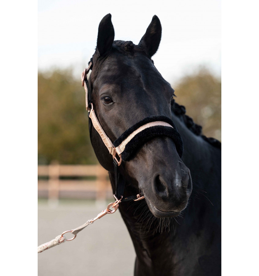 Kantar z futerkiem RoseGold Glitter cob