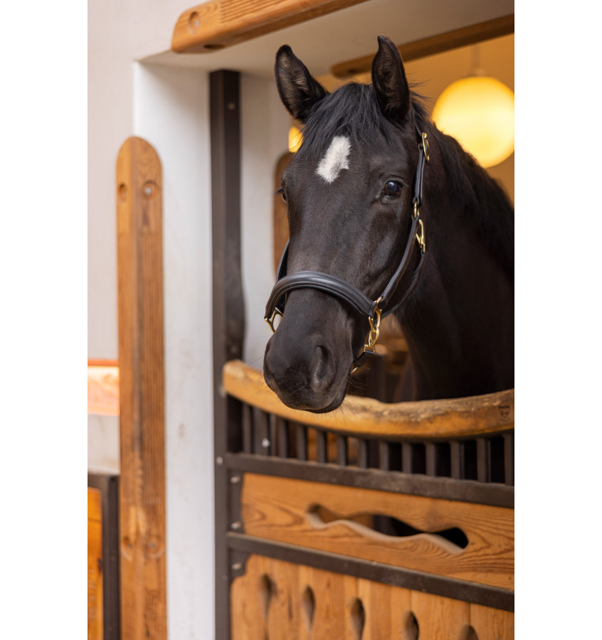 Kantar skórzany dla konia Gold cob