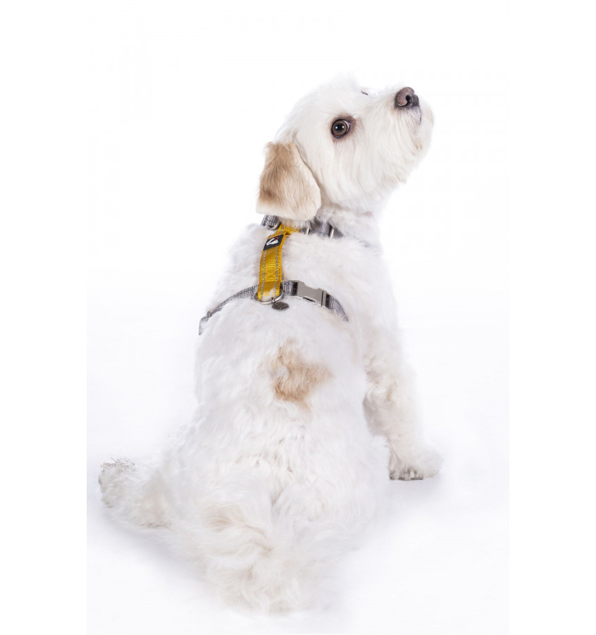 Szelki guard dla psa Anam Cara Basic czarny L