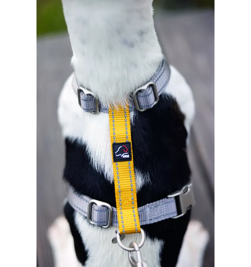 Szelki guard dla psa Anam Cara Basic czarny L