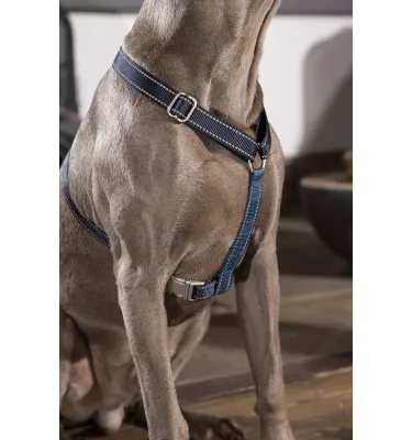 Szelki guard dla psa Anam Cara Basic czarny L