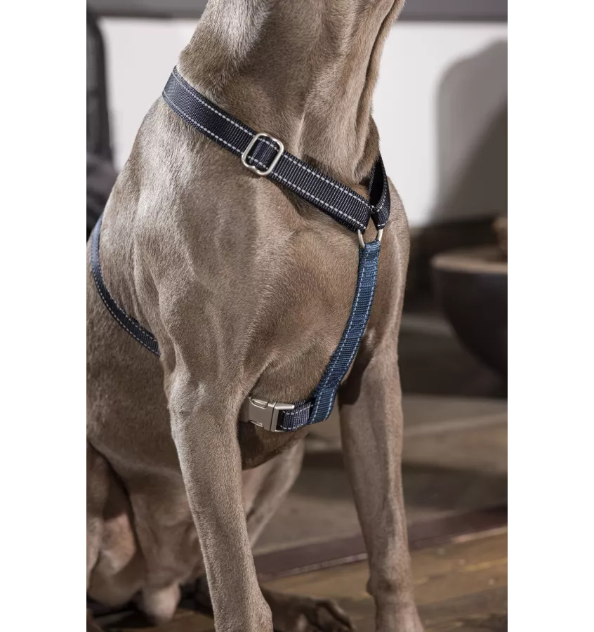 Szelki guard dla psa Anam Cara Basic czarny L