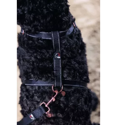 Szelki guard dla psa Anam Cara Basic czarny L