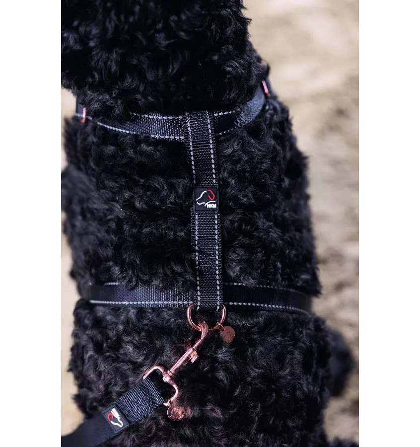 Szelki guard dla psa Anam Cara Basic czarny L