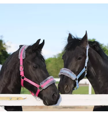 Kantar z futerkiem Horse Star czarny cob
