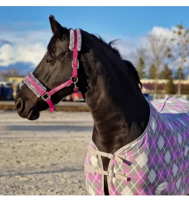 Kantar z futerkiem Horse Star czarny cob