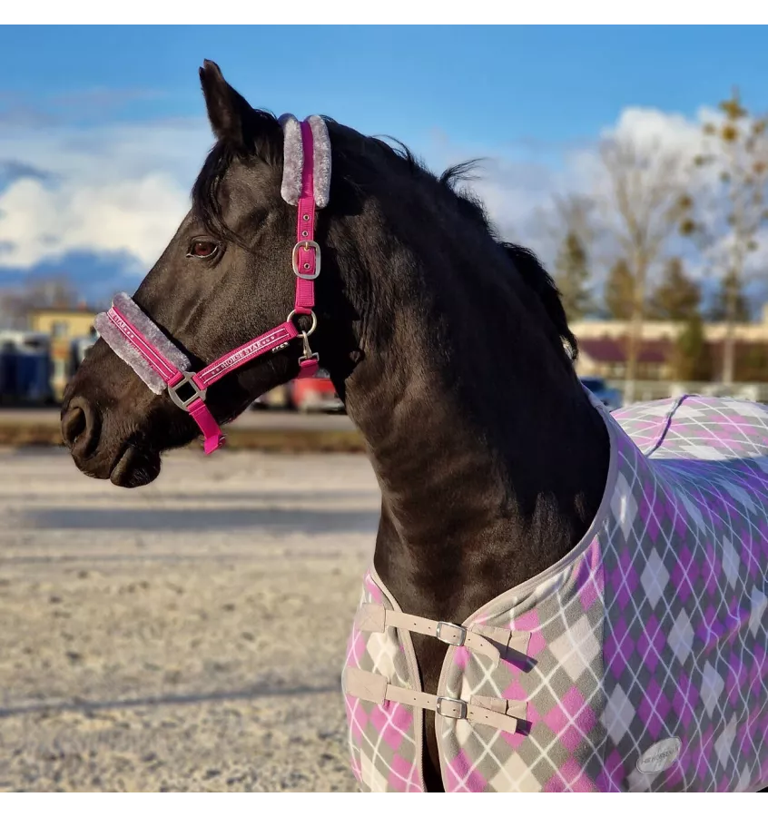 Kantar z futerkiem Horse Star czarny cob