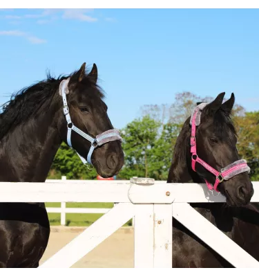 Kantar z futerkiem Horse Star czarny cob