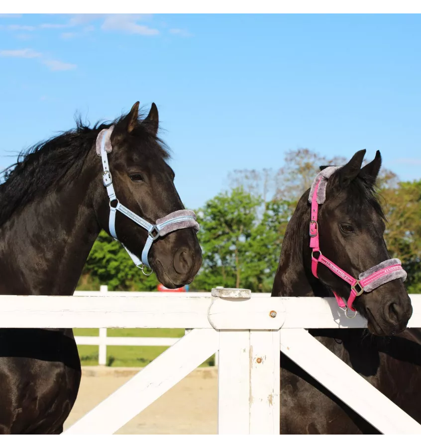 Kantar z futerkiem Horse Star czarny cob