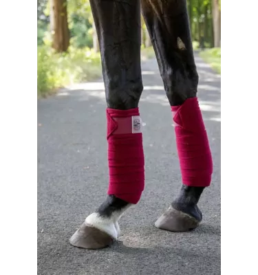 Bandaże polarowe Performace biały 200cm