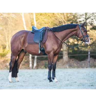 Czaprak dla konia Hailyn brąz full uje