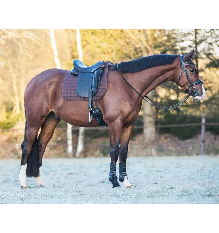 Czaprak dla konia Hailyn brąz full uje