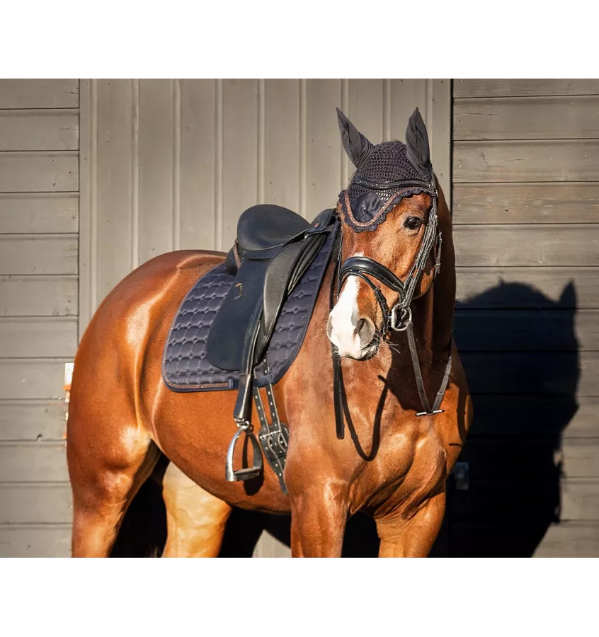 Czaprak dla konia Hailyn brąz full uje