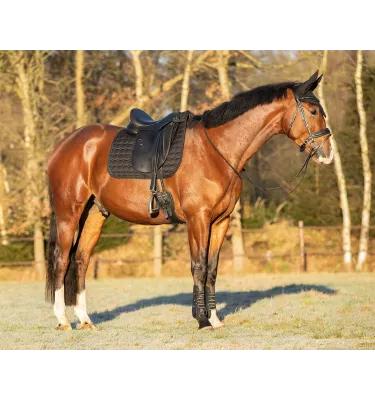 Czaprak dla konia Hailyn brąz full uje