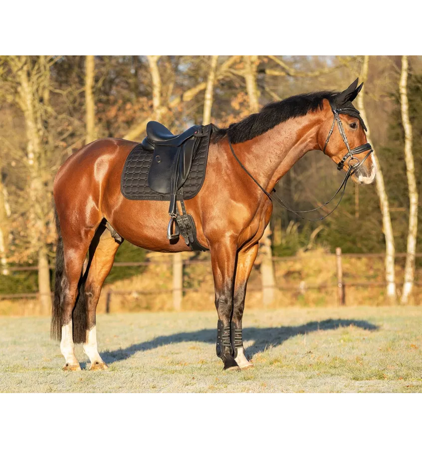 Czaprak dla konia Hailyn brąz full uje