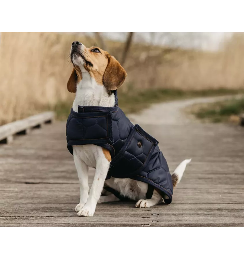 Derka dla psa Classy granat 35