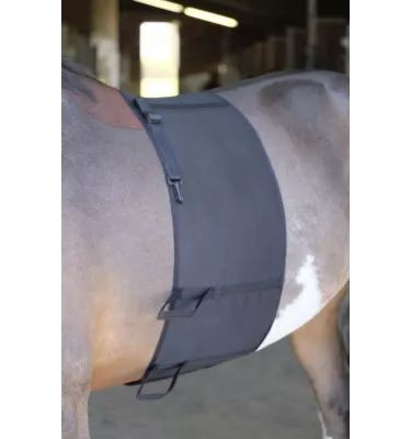 Pas chroniący przed obtarciami Norton L