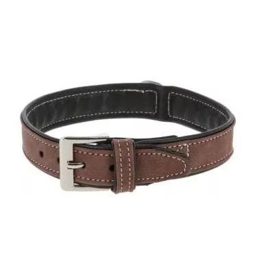 Obroża dla psa California L