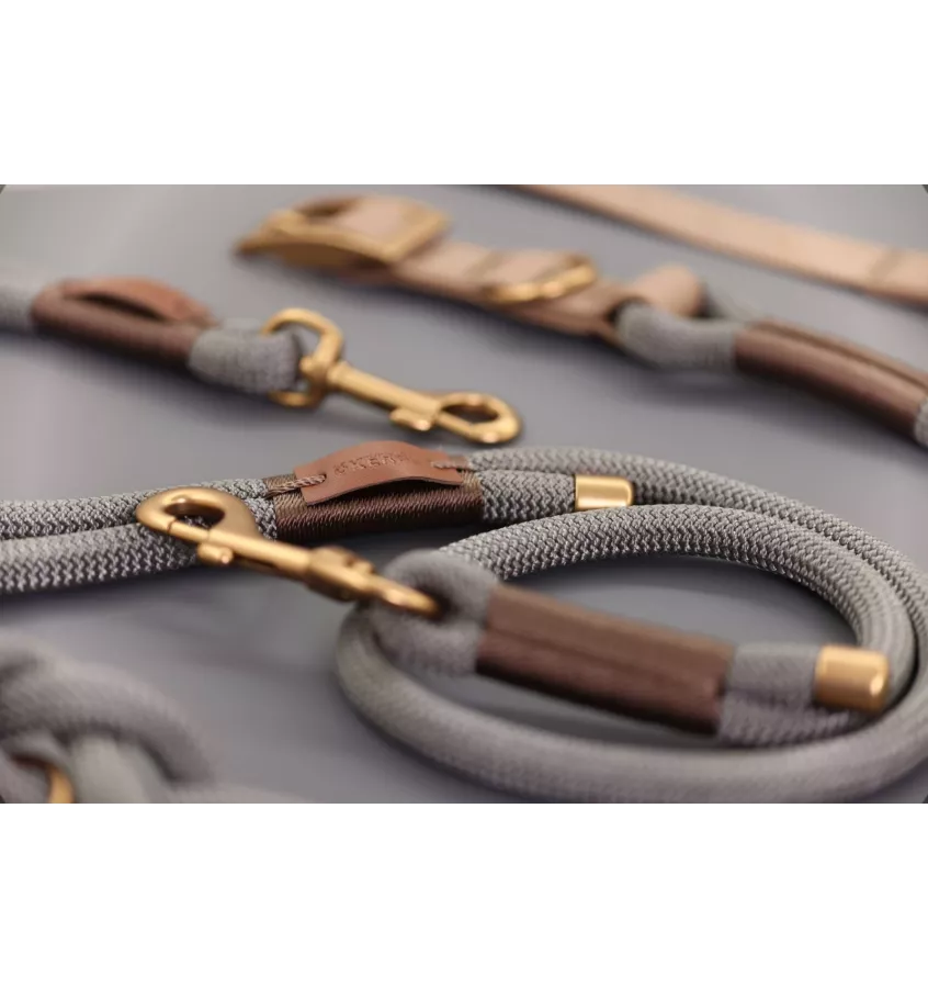 Smycz miejska przepinana dla psa Monte Carlo