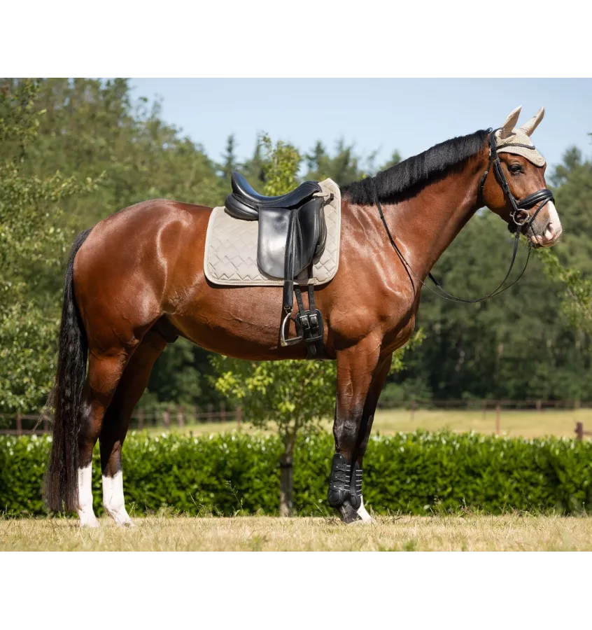 Czaprak dla konia Fading beż full