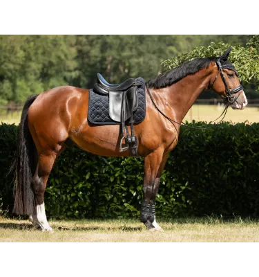 Czaprak dla konia Fading beż full