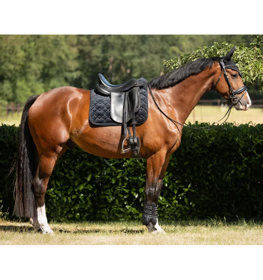 Czaprak dla konia Fading beż full