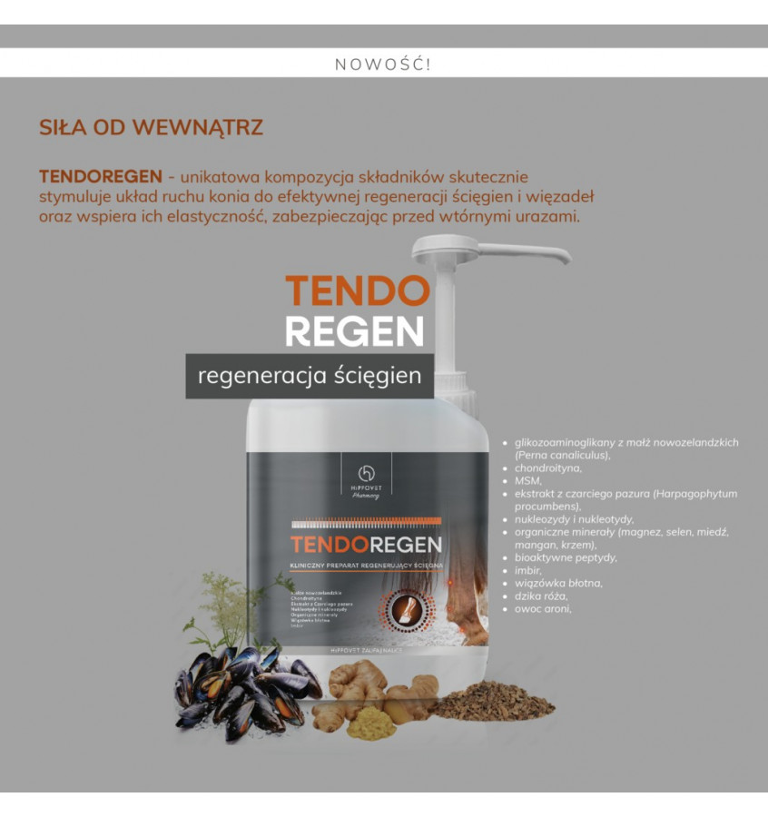 Hippovet Pharmacy TendoRegen 2,5l