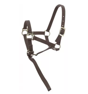 Kantar dla źrebaka z krótkim uwiązem czarny