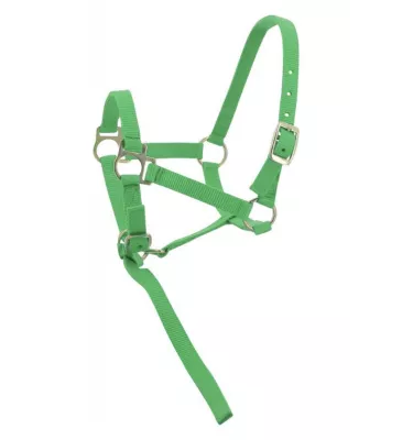 Kantar dla źrebaka z krótkim uwiązem czarny