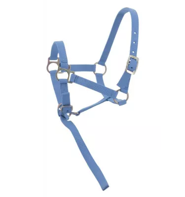 Kantar dla źrebaka z krótkim uwiązem czarny