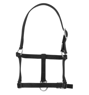 Kantar dla źrebaka czarny