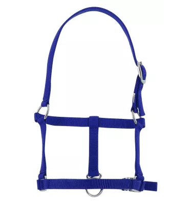 Kantar dla źrebaka czarny