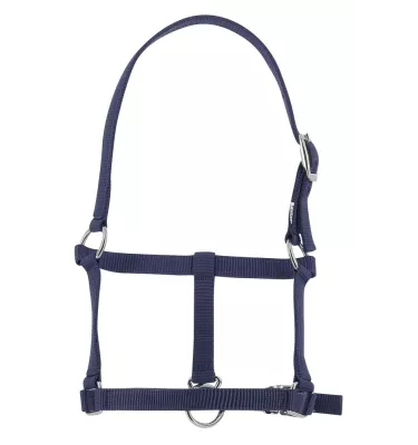 Kantar dla źrebaka czarny