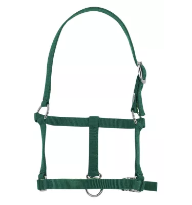 Kantar dla źrebaka czarny