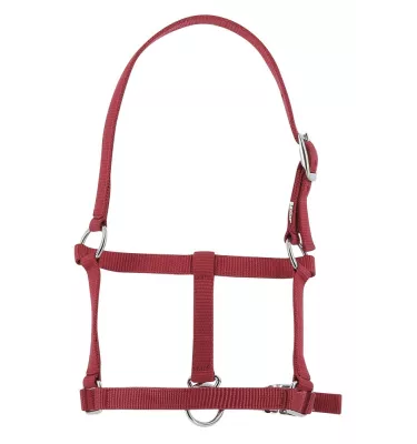 Kantar dla źrebaka czarny