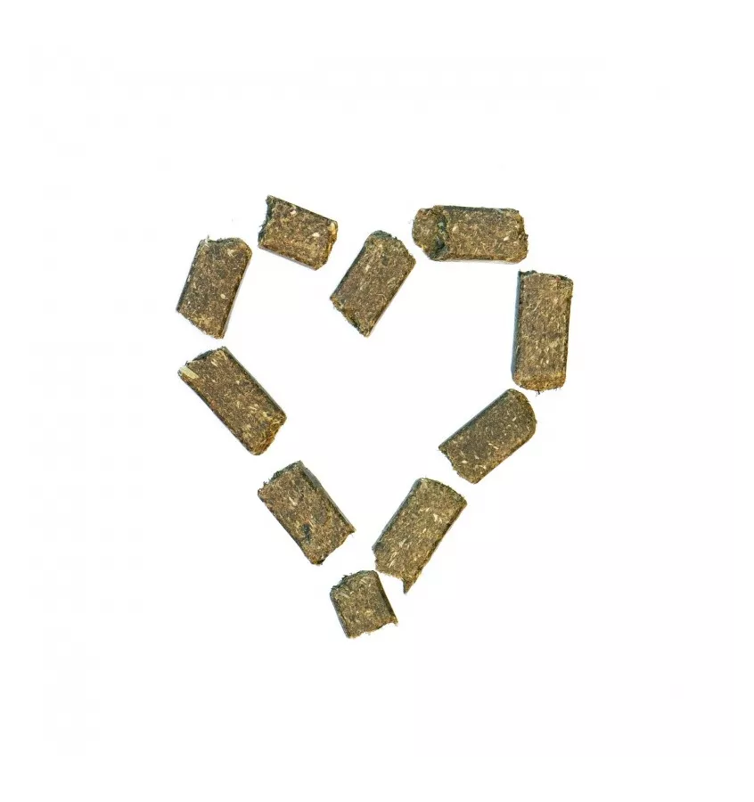 Agrobs Healthy Treats - zdrowe smaczki dla koni 1k