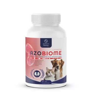 Hippovet Azobiome probiotyk dla psów i kotów – wsparcie w terapii chorób nerek