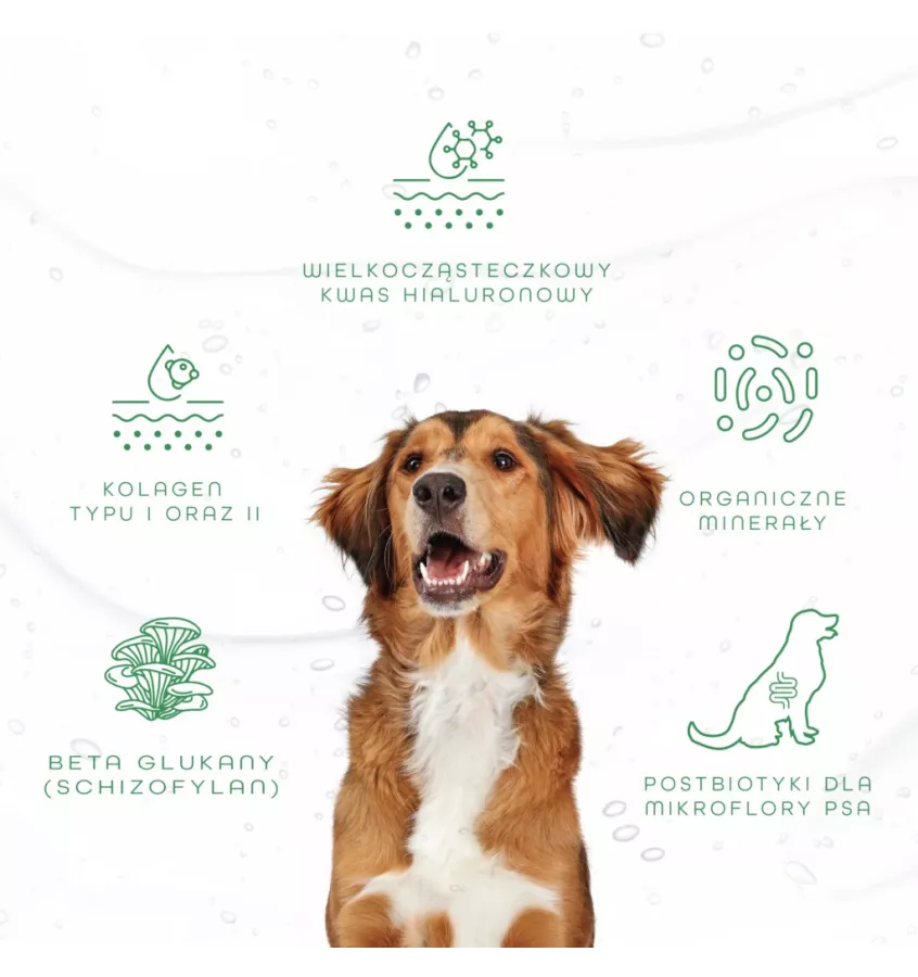 Hippovet Pharmacy GastricAid Dog