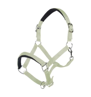 Kantar dla konia Catherine błękit cob