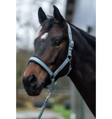 Kantar dla konia Catherine błękit cob