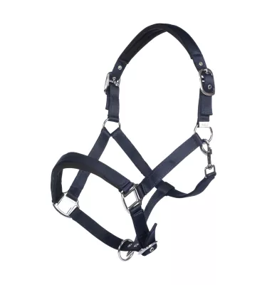 Kantar dla konia Catherine błękit cob