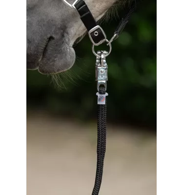 Uwiąz z bezpiecznym karabińczykiem Carlotta czarny