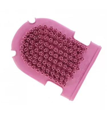 Rękawica do czyszczenia konia