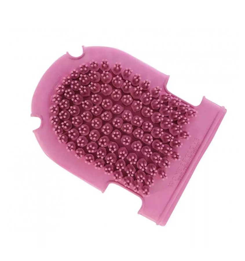 Rękawica do czyszczenia konia