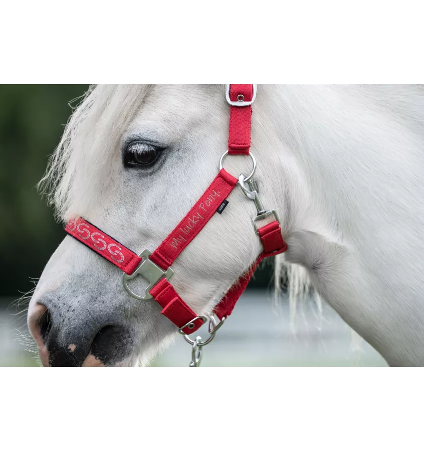 Kantar dla kucyka Aymee mini shetty