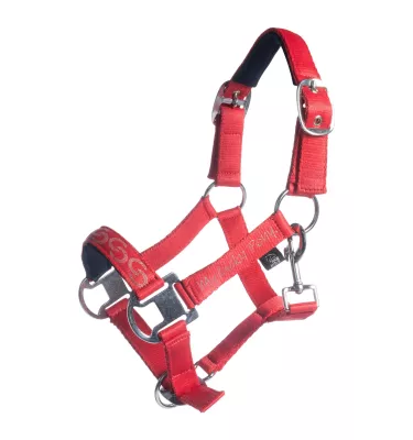 Kantar dla kucyka Aymee mini shetty