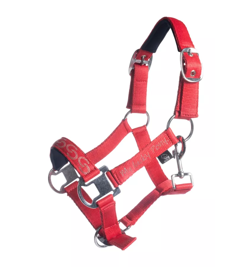 Kantar dla kucyka Aymee mini shetty